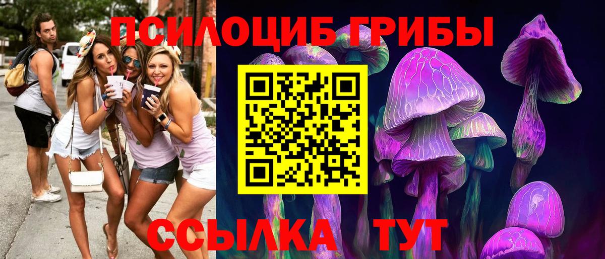 Псилоцибиновые грибы мицелий  Вход с VPN  Псилоцибиновые грибы Cubensis  Ессентуки 