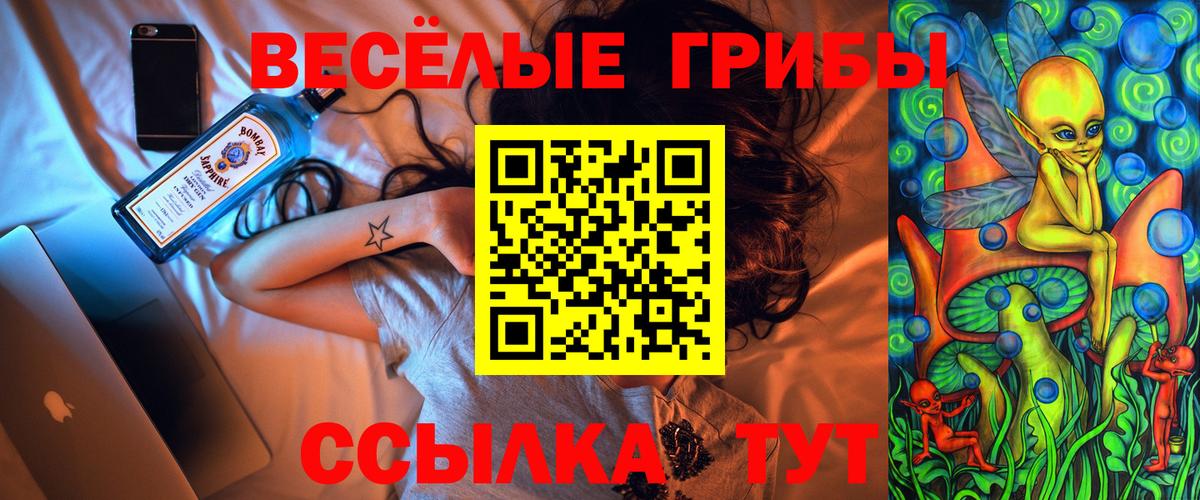 Галлюциногенные грибы мухоморы Ессентуки