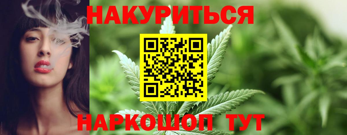 Марихуана сатива Ессентуки